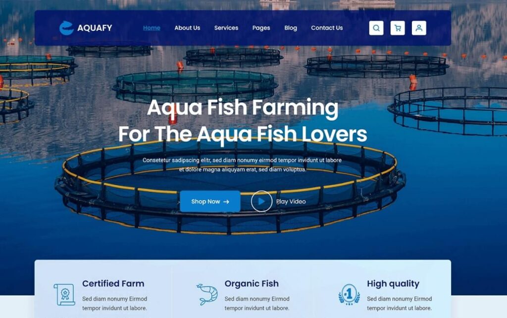 Aquafy Best WordPress Theme