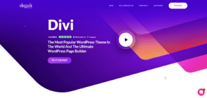 The Top 20 Most-Used Wordpress Themes In the World in 2025