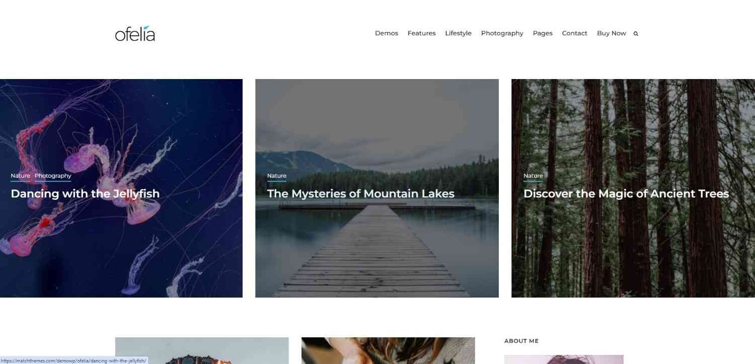 Ofelia minimalist WordPress travel blog theme with clean design and smooth navigation, one of the best WordPress themes for travel blogs and storytelling.