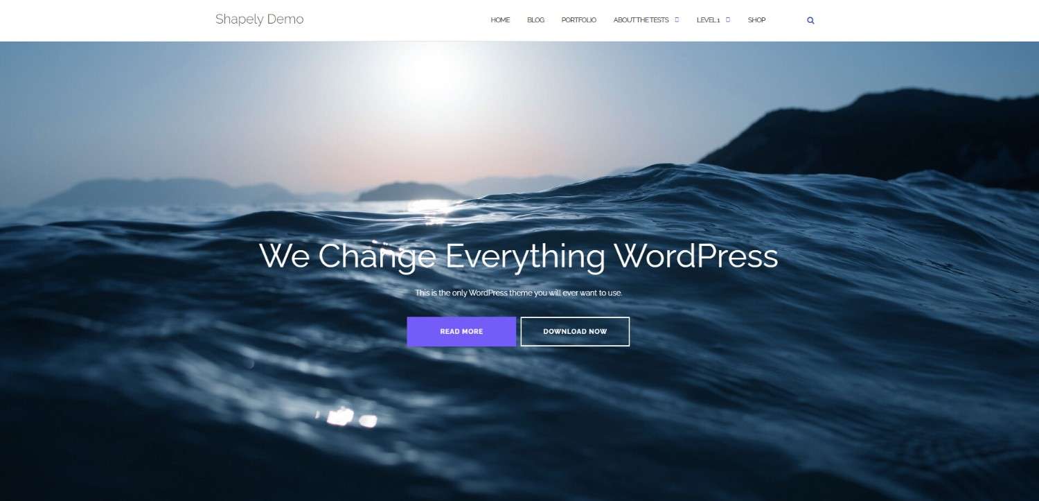 Shapely one-page WordPress portfolio theme with bold design and full-screen portfolio sections for freelancers and agencies.
