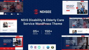 Ndisee Disability Care WordPress Theme Homepage